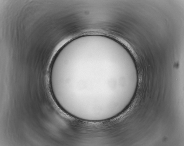 X0000100471466200806130744