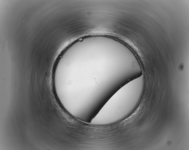 X0000100471469200806130744