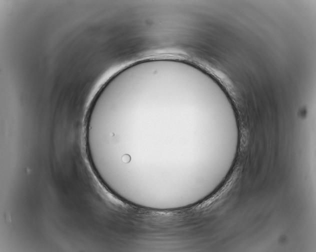 X0000100471470200806130744