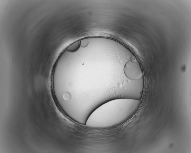 X0000100471471200806130744