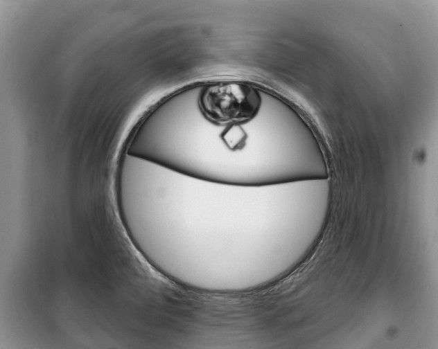 X0000100471472200806130744