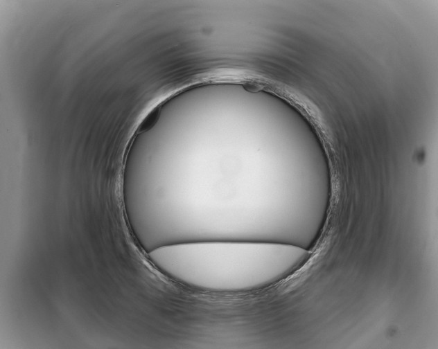 X0000100471473200806130744