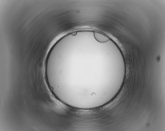 X0000100471474200806130744