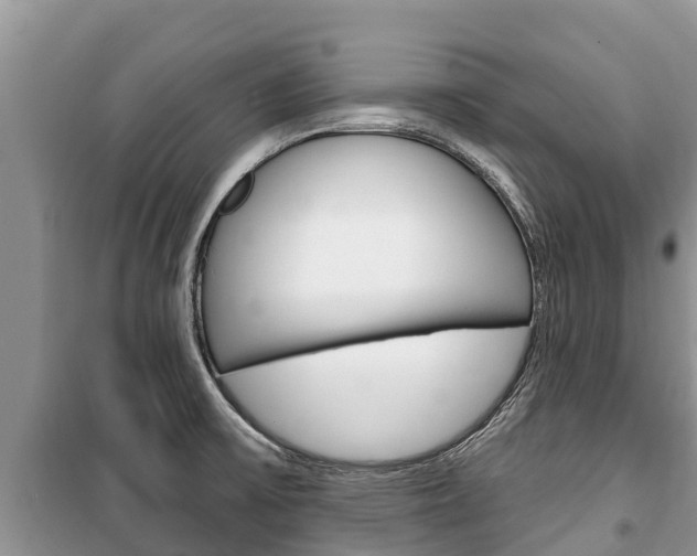 X0000100471475200806130744