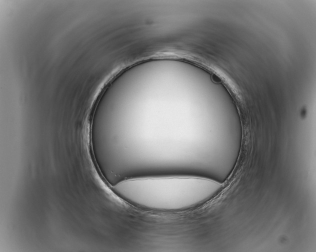 X0000100471476200806130743