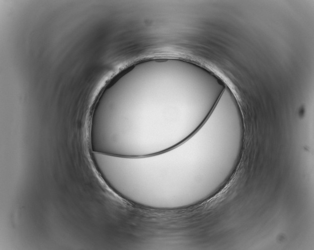 X0000100471477200806130743