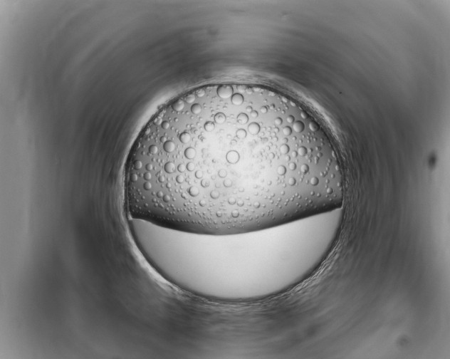 X0000100471479200806130743