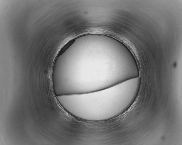 X0000100471481200806130743
