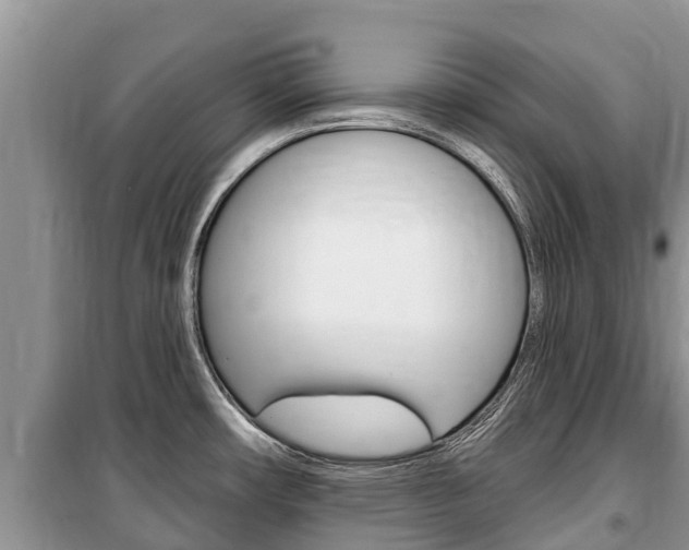 X0000100471482200806130743