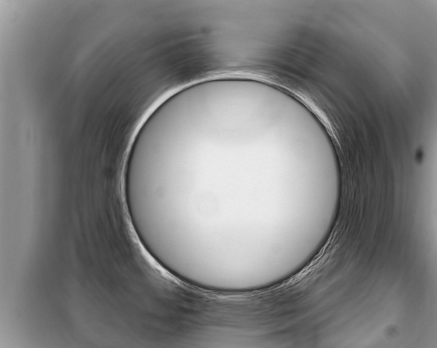 X0000100471484200806130743