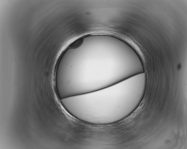 X0000100471485200806130743