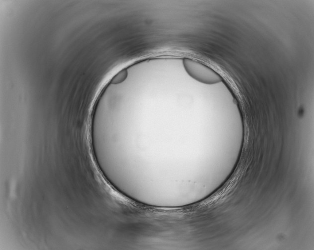 X0000100471486200806130743