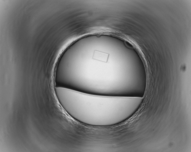 X0000100471488200806130743