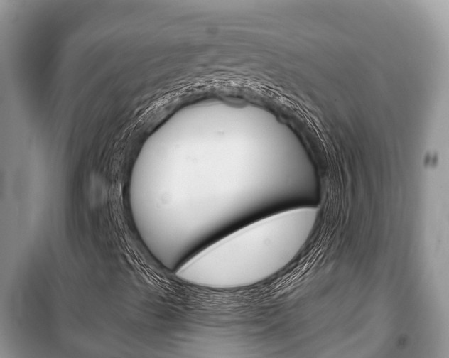 X0000100471489200806130743