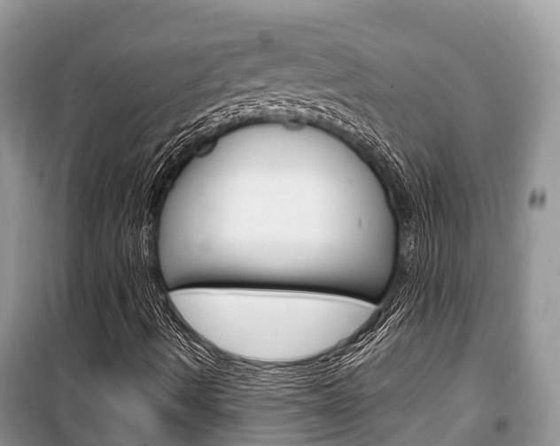 X0000100471490200806130743