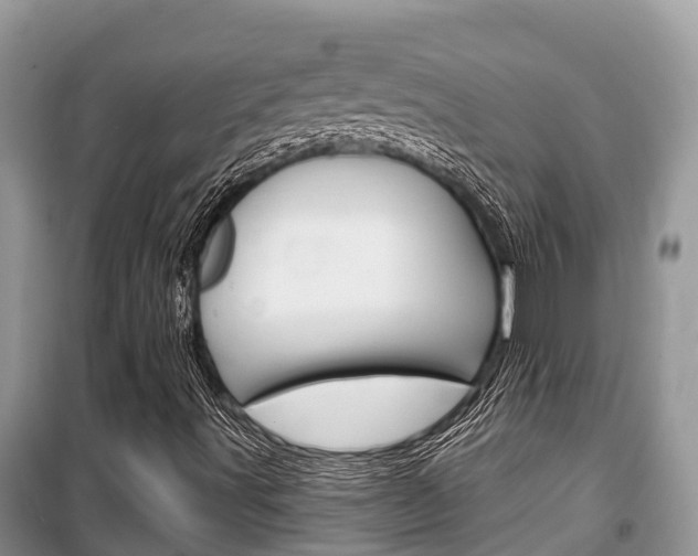 X0000100471491200806130743