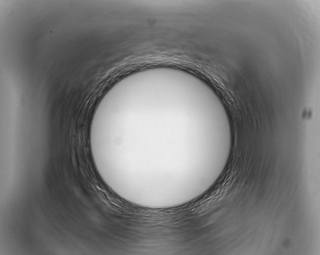 X0000100471492200806130743