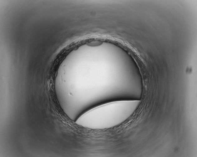 X0000100471495200806130743