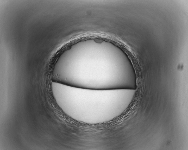 X0000100471496200806130743