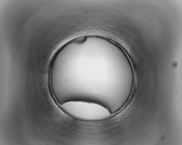 X0000100471500200806130743
