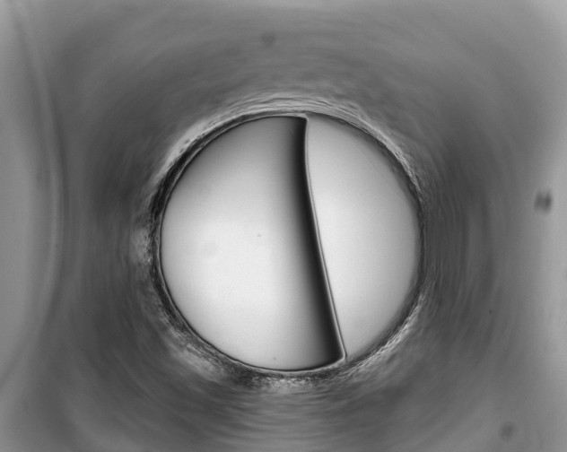X0000100471501200806130743