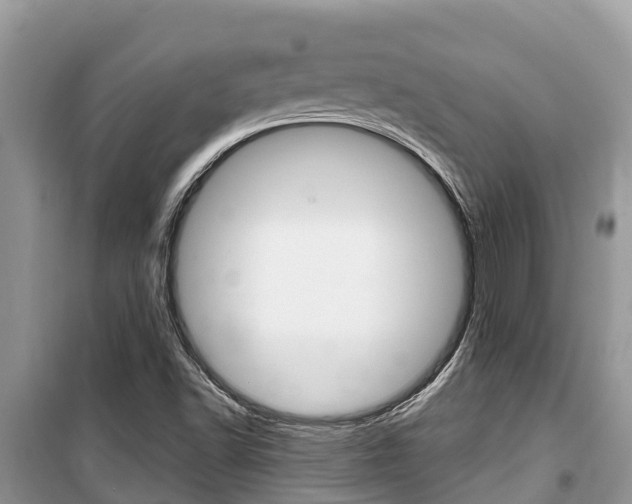 X0000100471502200806130743