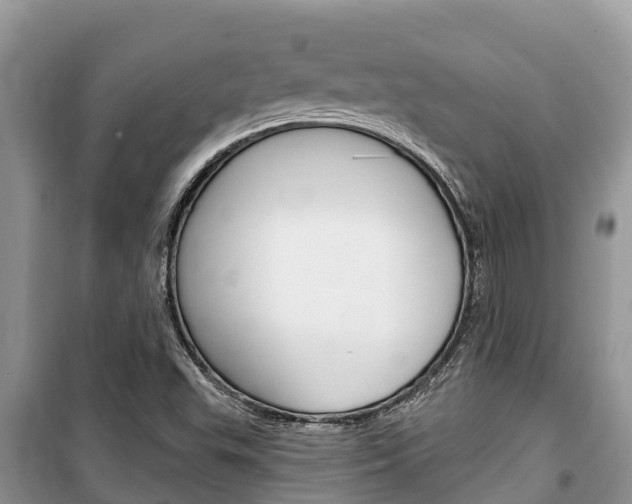 X0000100471503200806130743