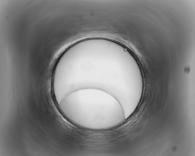 X0000100471504200806130743