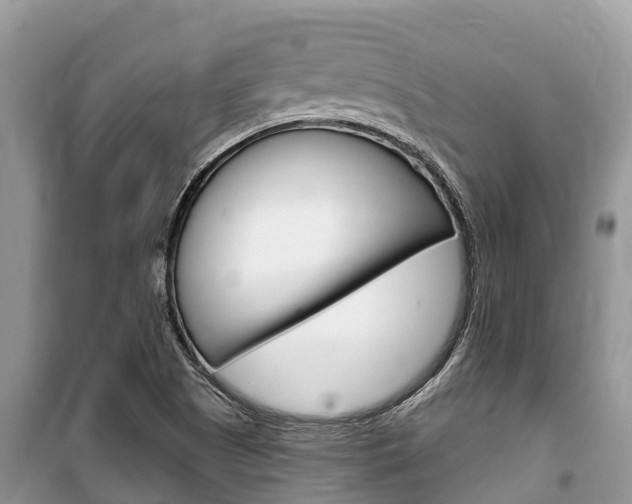 X0000100471505200806130743