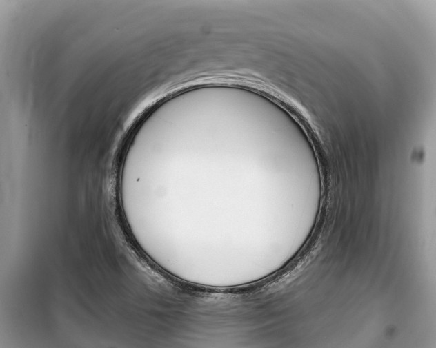 X0000100471506200806130743