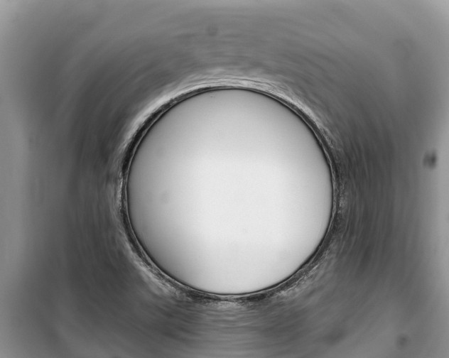 X0000100471507200806130743