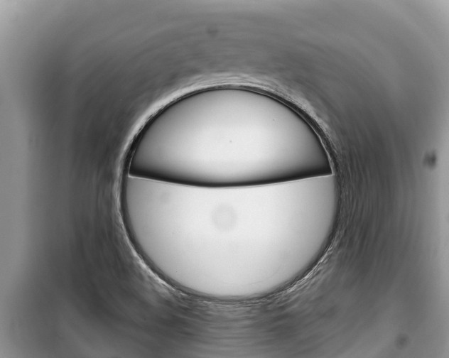 X0000100471508200806130743