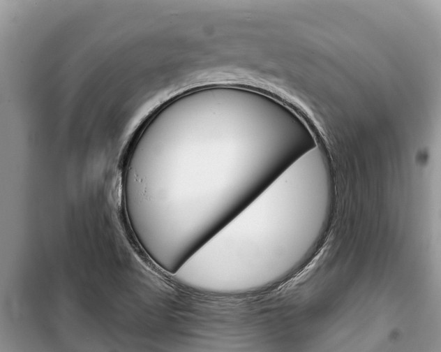 X0000100471509200806130743