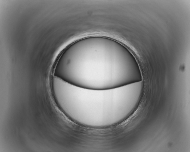 X0000100471510200806130743