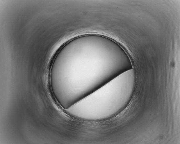 X0000100471511200806130743