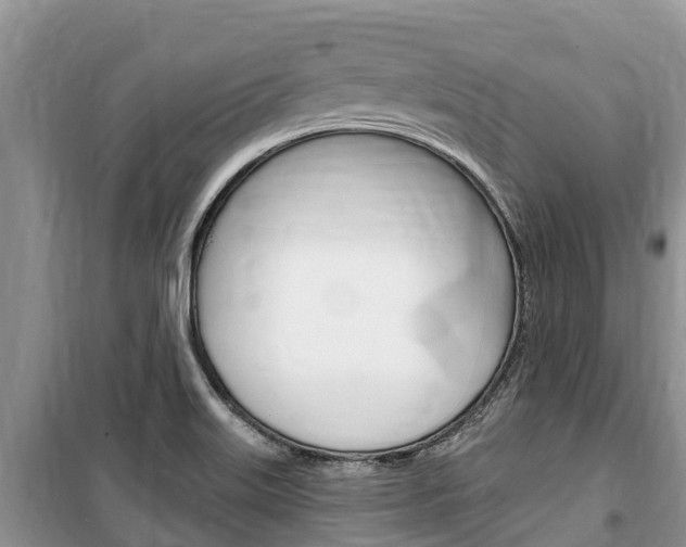 X0000100471515200806130743