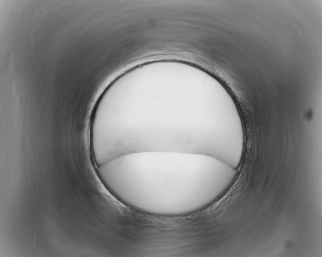 X0000100471516200806130743