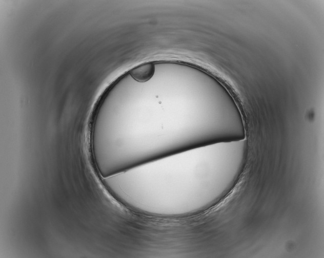 X0000100471517200806130743