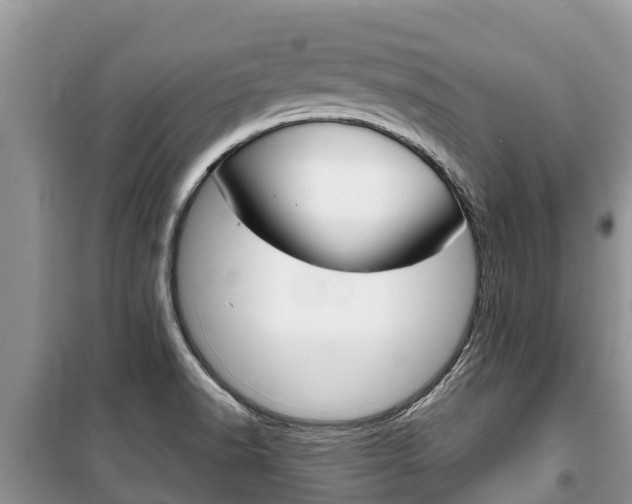 X0000100471518200806130743
