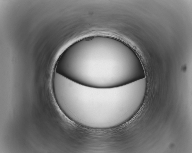 X0000100471520200806130743