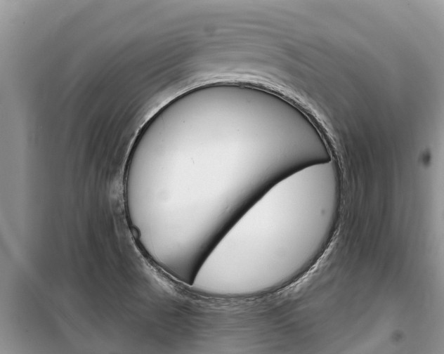 X0000100471521200806130743