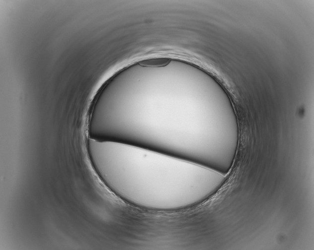 X0000100471522200806130743