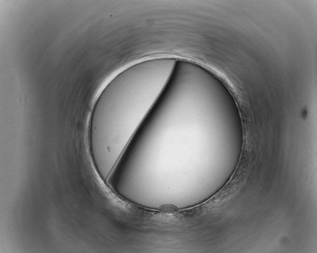 X0000100471524200806130743