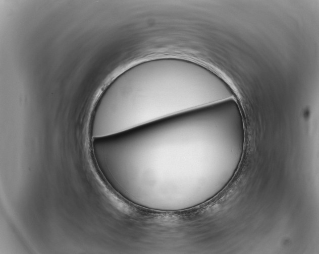 X0000100471525200806130743