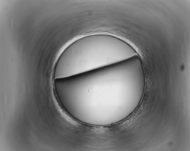 X0000100471526200806130743