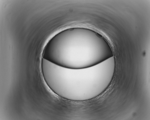 X0000100471528200806130743