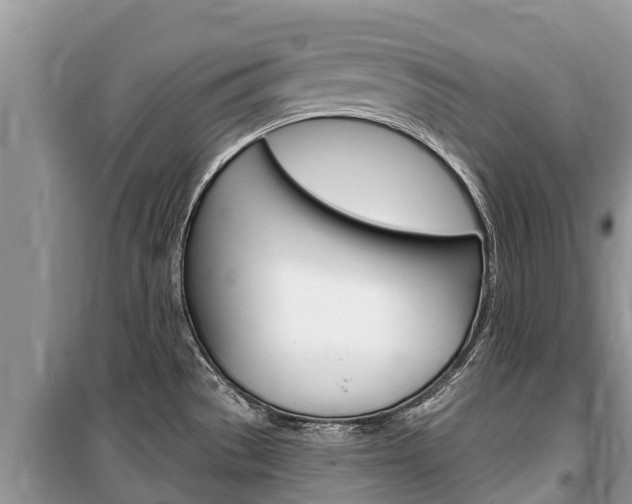 X0000100471529200806130743