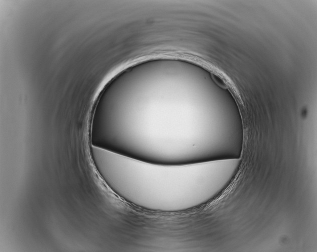 X0000100471530200806130743