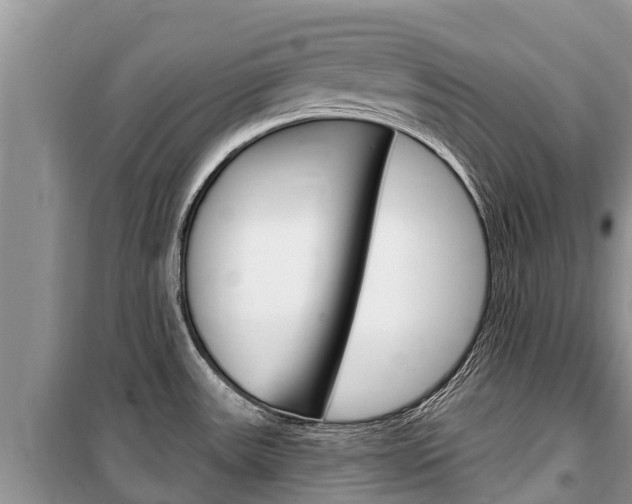 X0000100471531200806130743