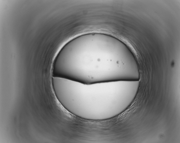 X0000100471532200806130743